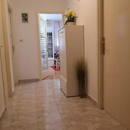 Azzuro Albero * Split