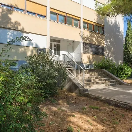 Azzuro Albero * Split