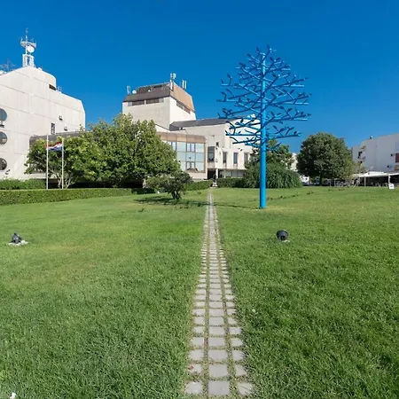 Azzuro Albero